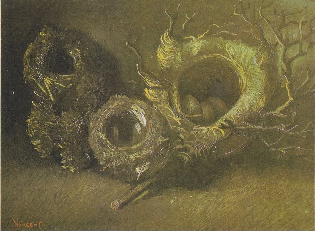  177-Vincent van Gogh-Natura morta con tre nidi di uccelli, 1885 - Kröller-Müller Museum, Otterlo  